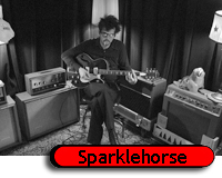 Sparklehorse